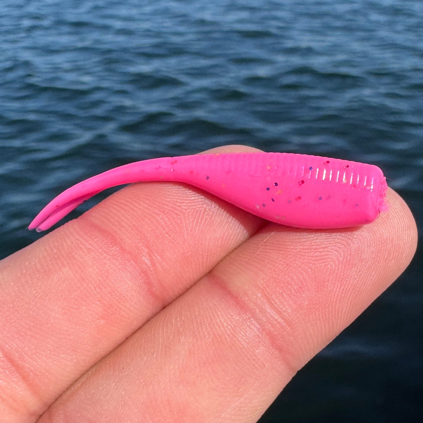 BS Minnow