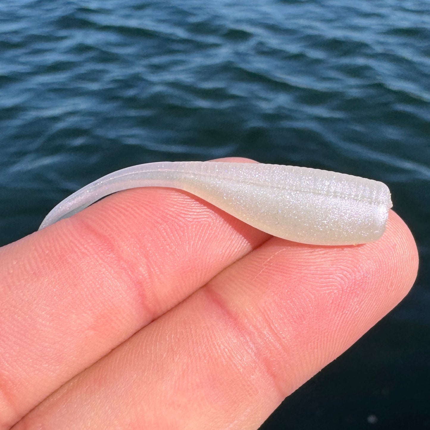 BS Minnow