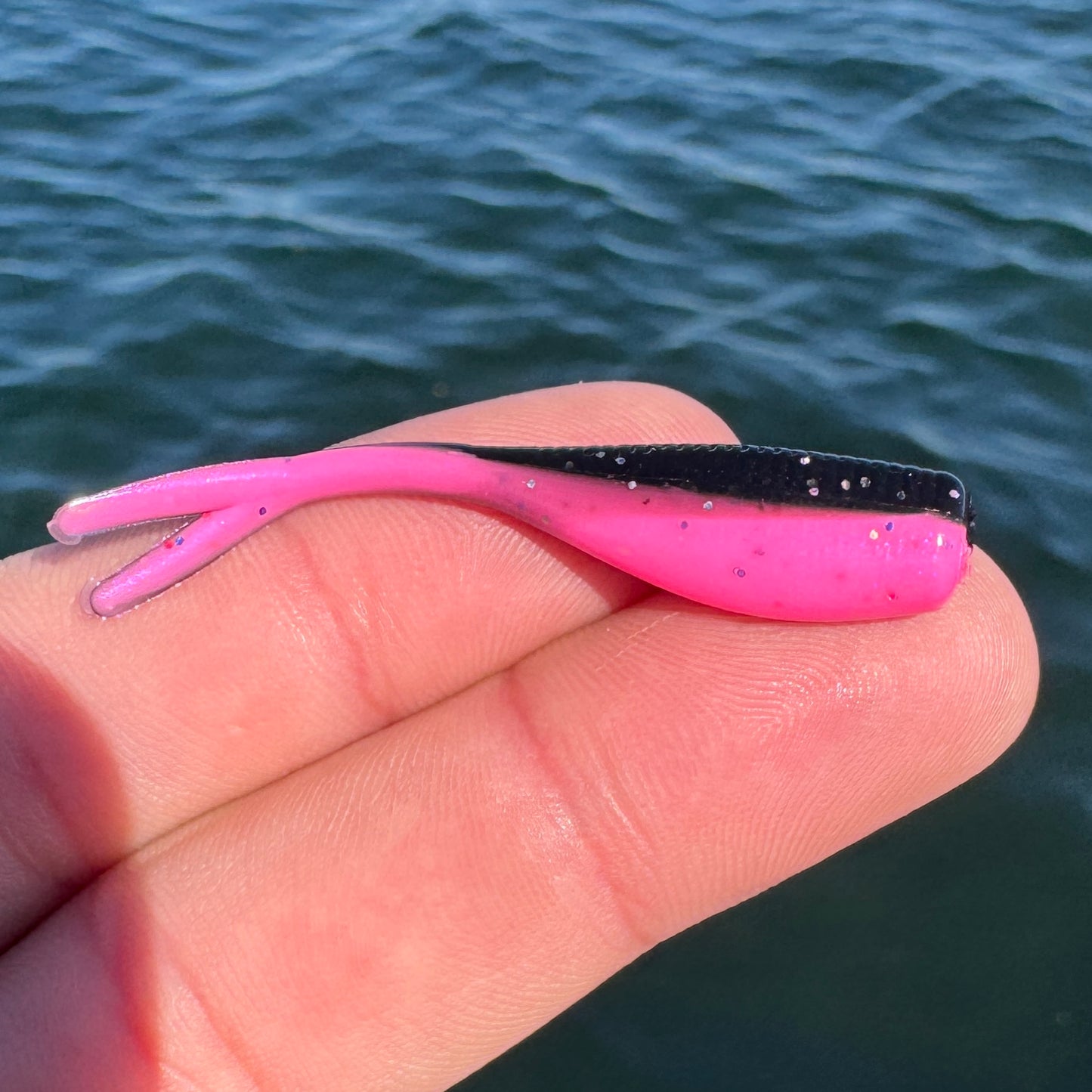 BS Minnow
