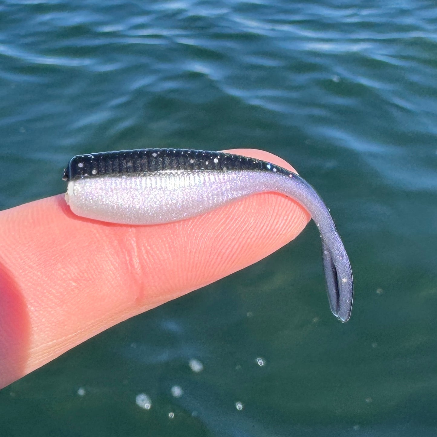 BS Minnow
