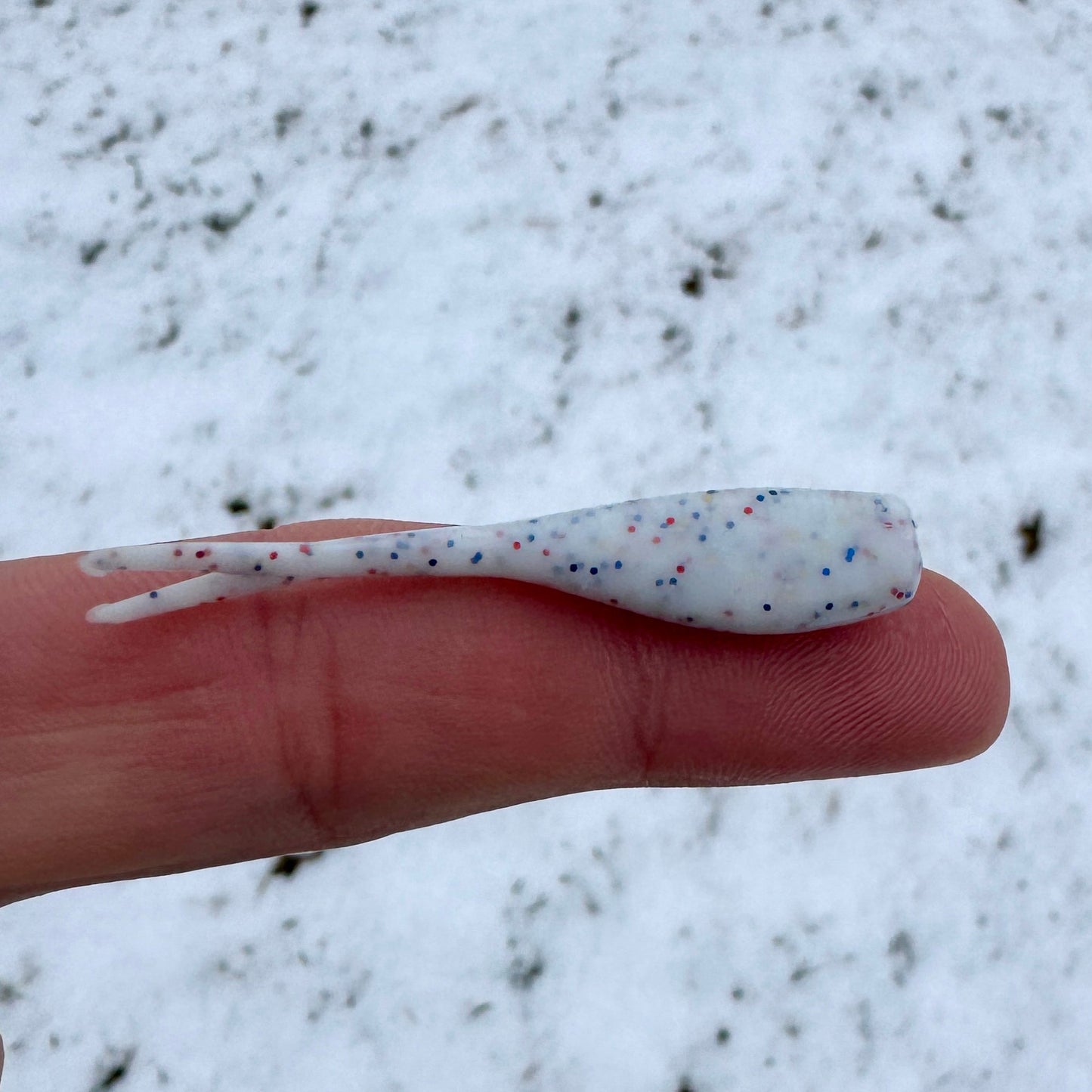 BS Minnow