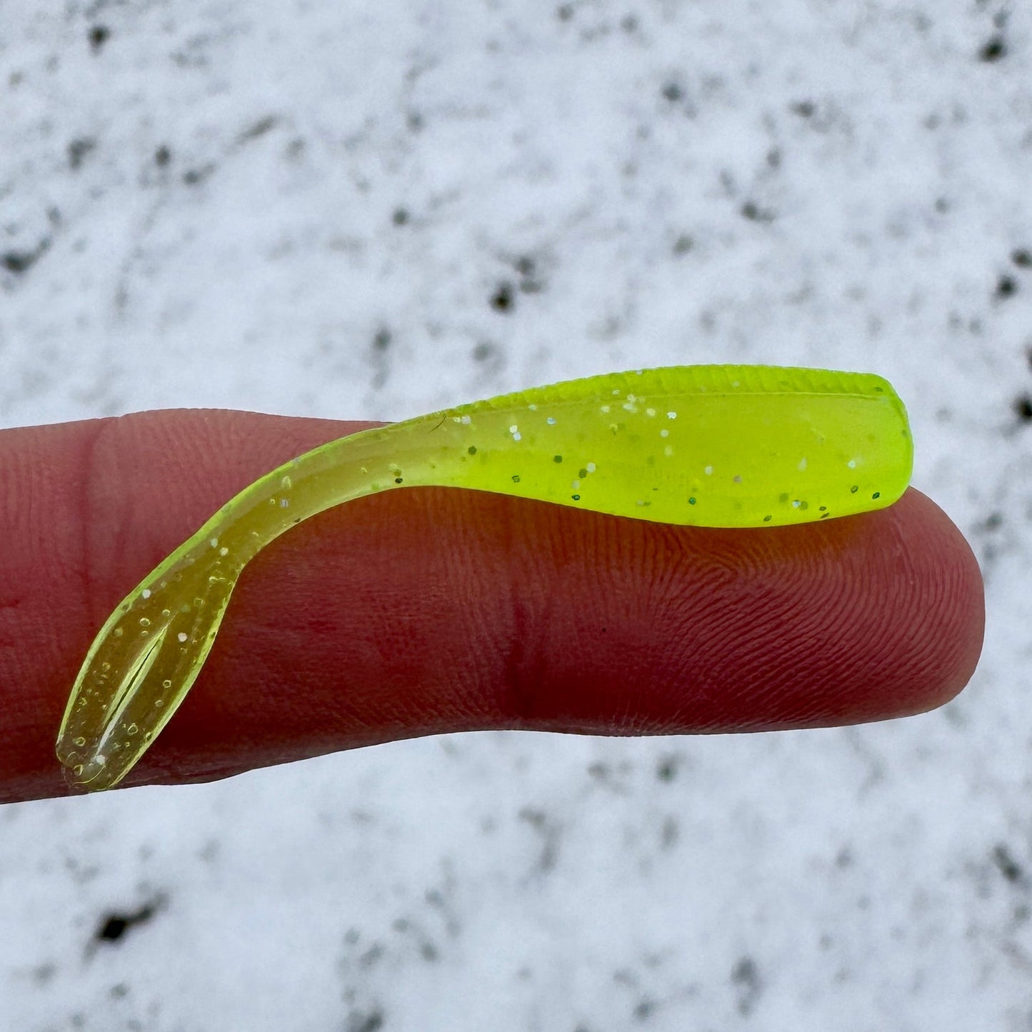 BS Minnow