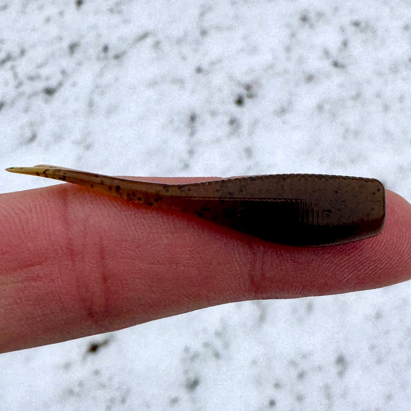 BS Minnow