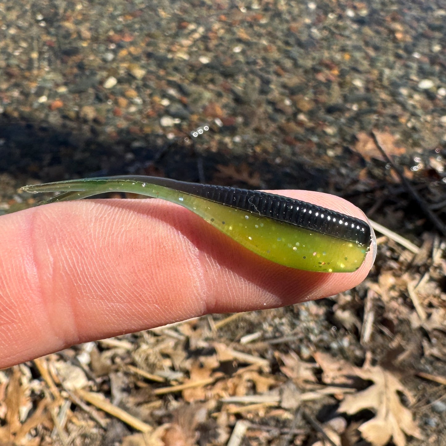 BS Minnow