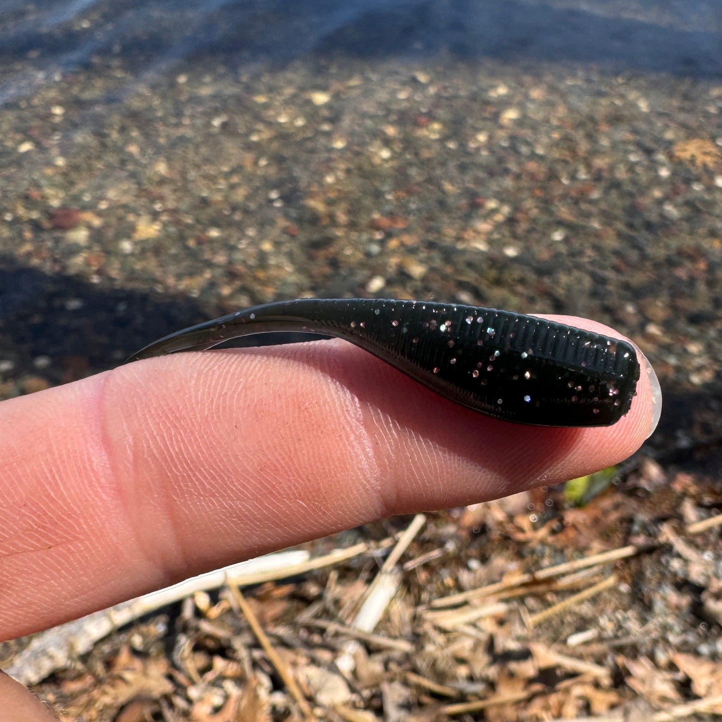 BS Minnow