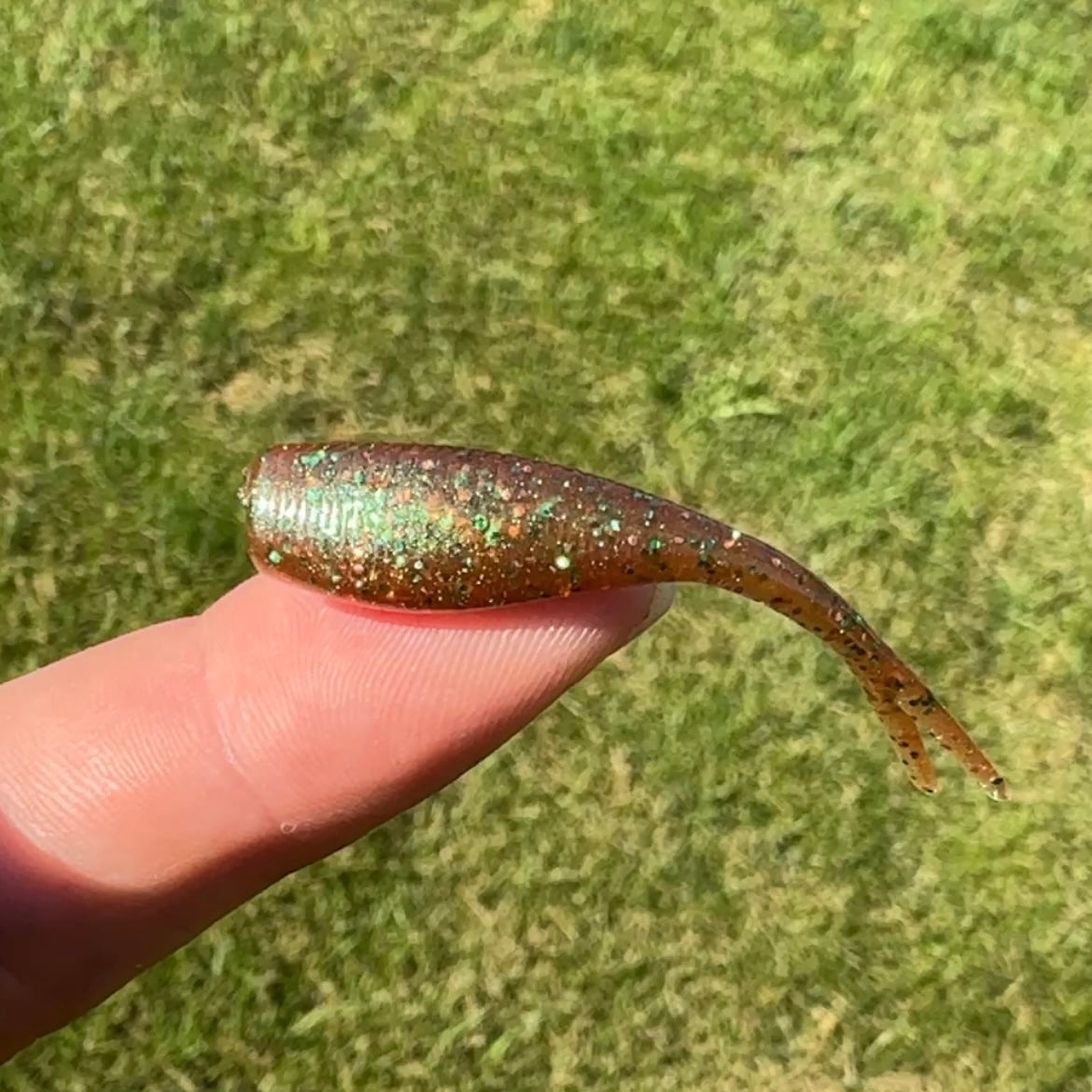 BS Minnow 2"