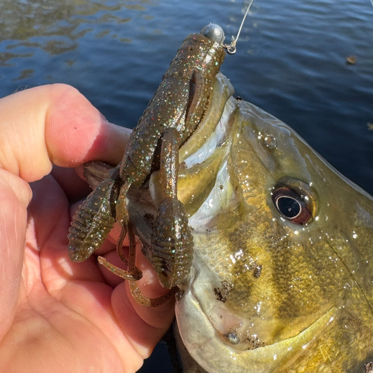 Spring Bass Mystery Bundle