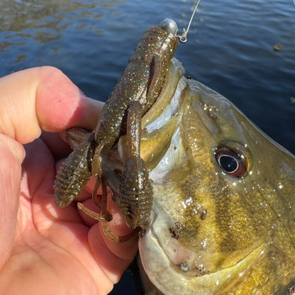 Spring Bass Mystery Bundle