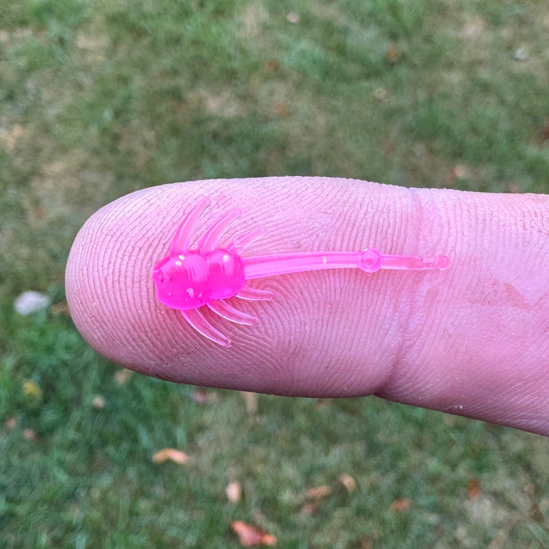 Yuki Fry 1.0